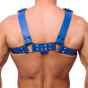 The Red Harness Harnais en cuir Buckle Bleu